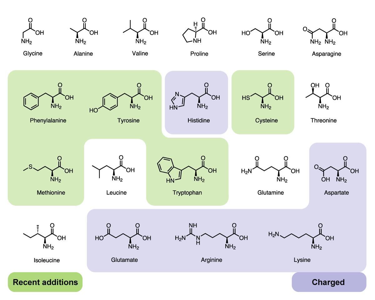 20 amino acids and their structures pdf