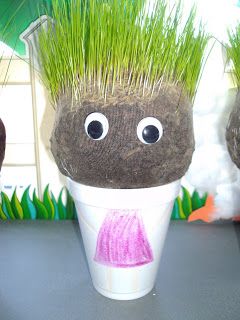 chia pet growing instructions