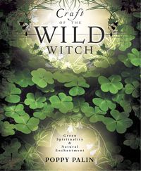 Craft of the wild witch pdf