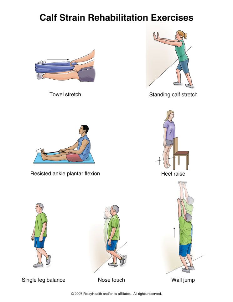 Hip flexor rehab exercises pdf