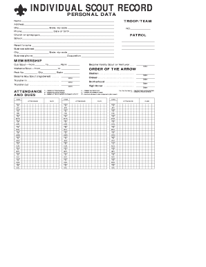 Boy scout youth application fillable pdf