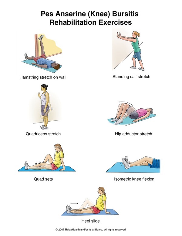 Hip flexor rehab exercises pdf