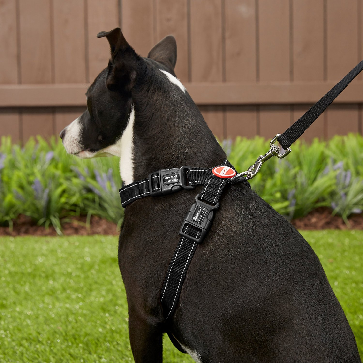 Ezydog chest plate harness size guide