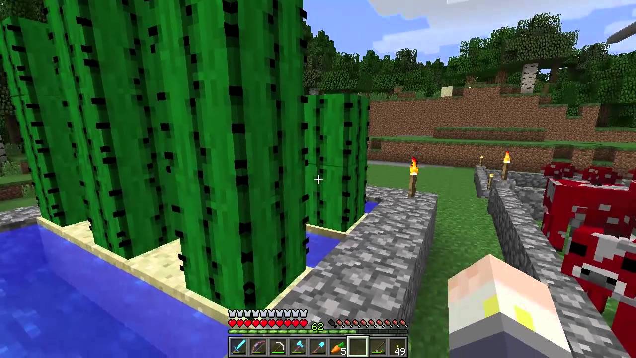 Minecraft how to grow cactus seeds