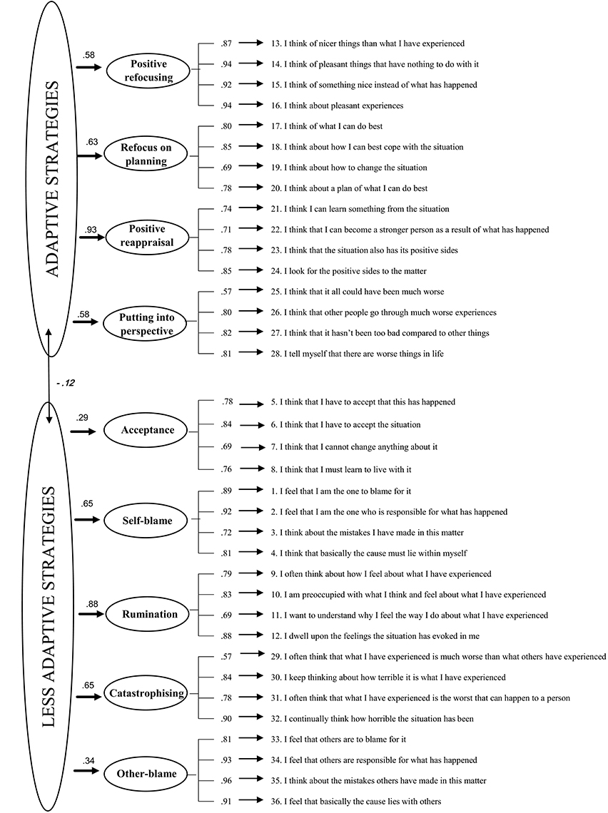 anxiety sensitivity index scoring instructions