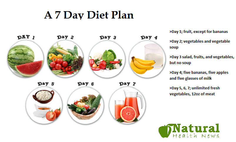 Kit dale 7 day meal plan pdf