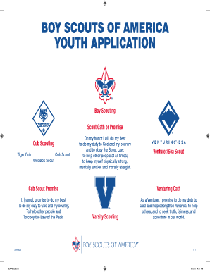 Boy scout youth application fillable pdf