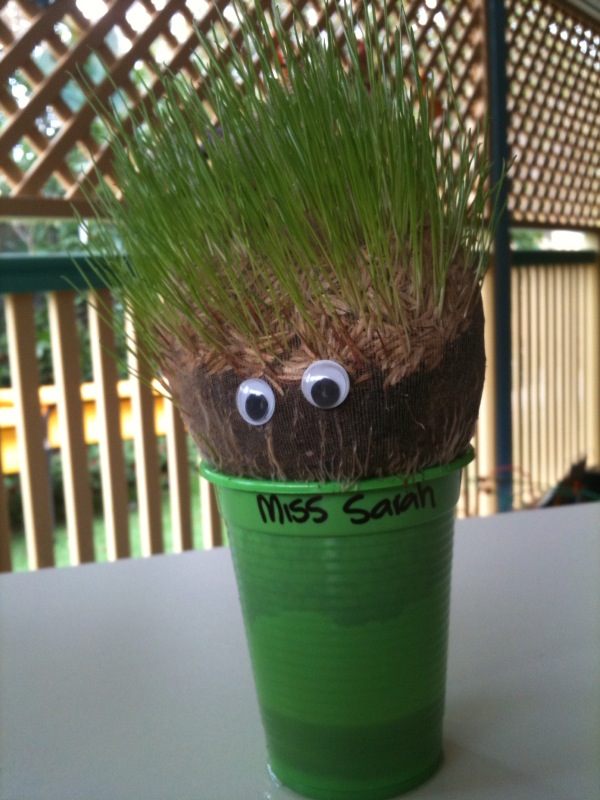 chia pet growing instructions