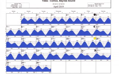 Comox b c tide guide