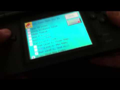 Nds4ios how to put in cheat codes