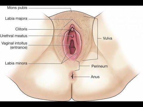 perineal massage instructions video