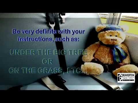 ride safer travel vest instructions