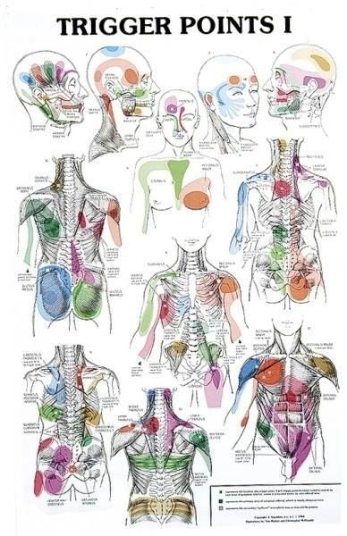 Trigger point release techniques pdf